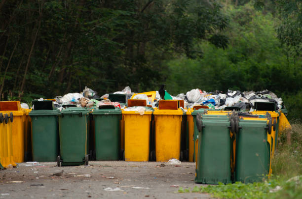 Landfill and garbage bins prepared for sanitary landfill